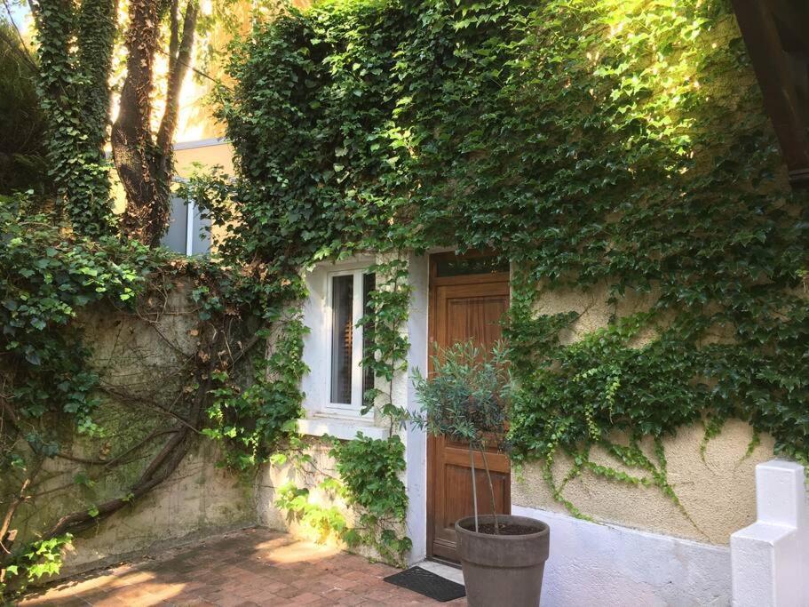 شقة Studio Close Fourviere Very Quiet & Small Terrace ليون المظهر الخارجي الصورة